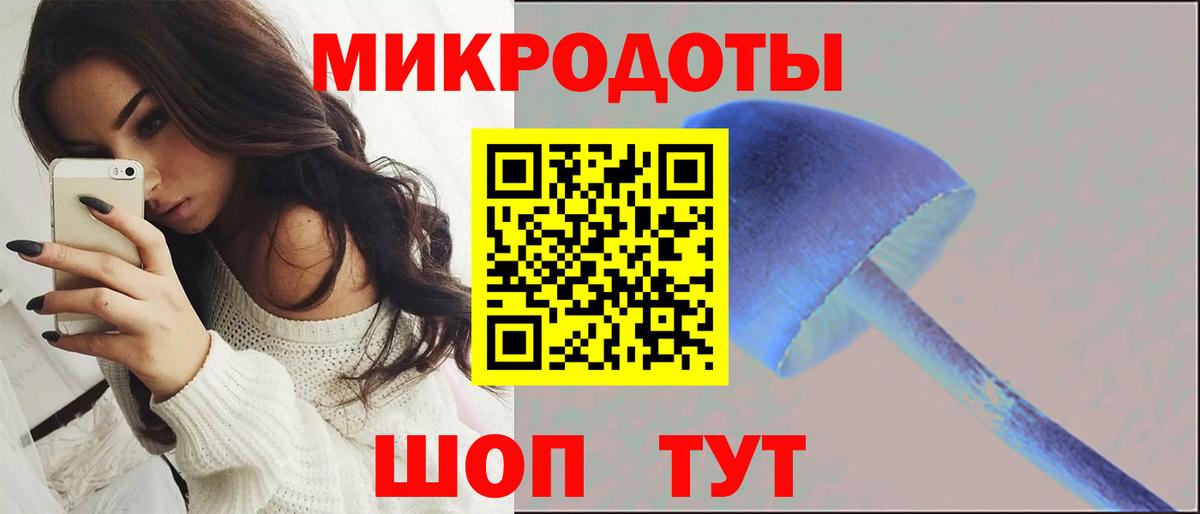 Галлюциногенные грибы Cubensis  Вход с VPN  Вятские Поляны 