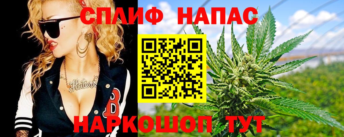Каннабис индика Вятские Поляны